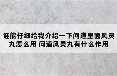 谁能仔细给我介绍一下问道里面风灵丸怎么用 问道风灵丸有什么作用